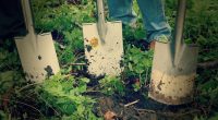 jardinage