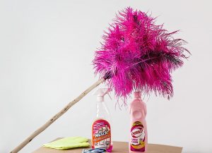 feather-duster-709124_1280