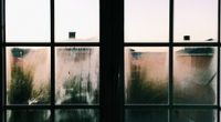 nettoyage vitres