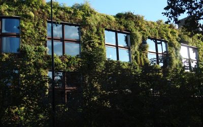Comment faire une façade végétale ?