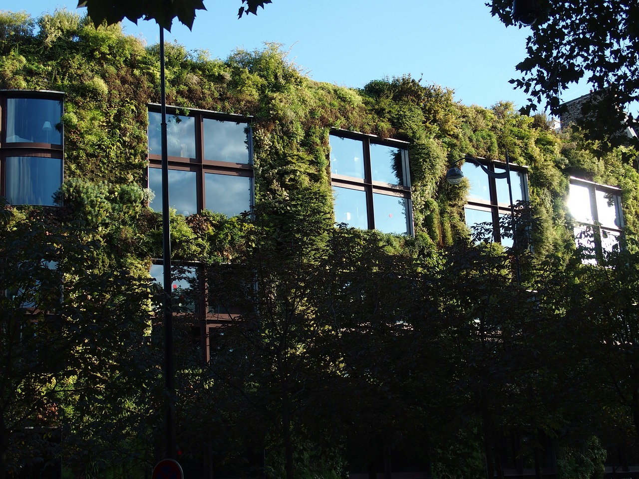 Créer un mur végétal sur la façade de votre maison