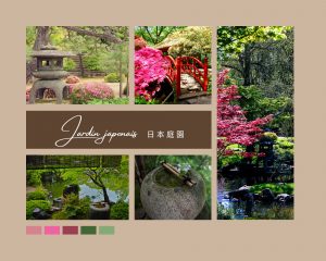 Optez pour un jardin japonais et la simplicité de sa beauté