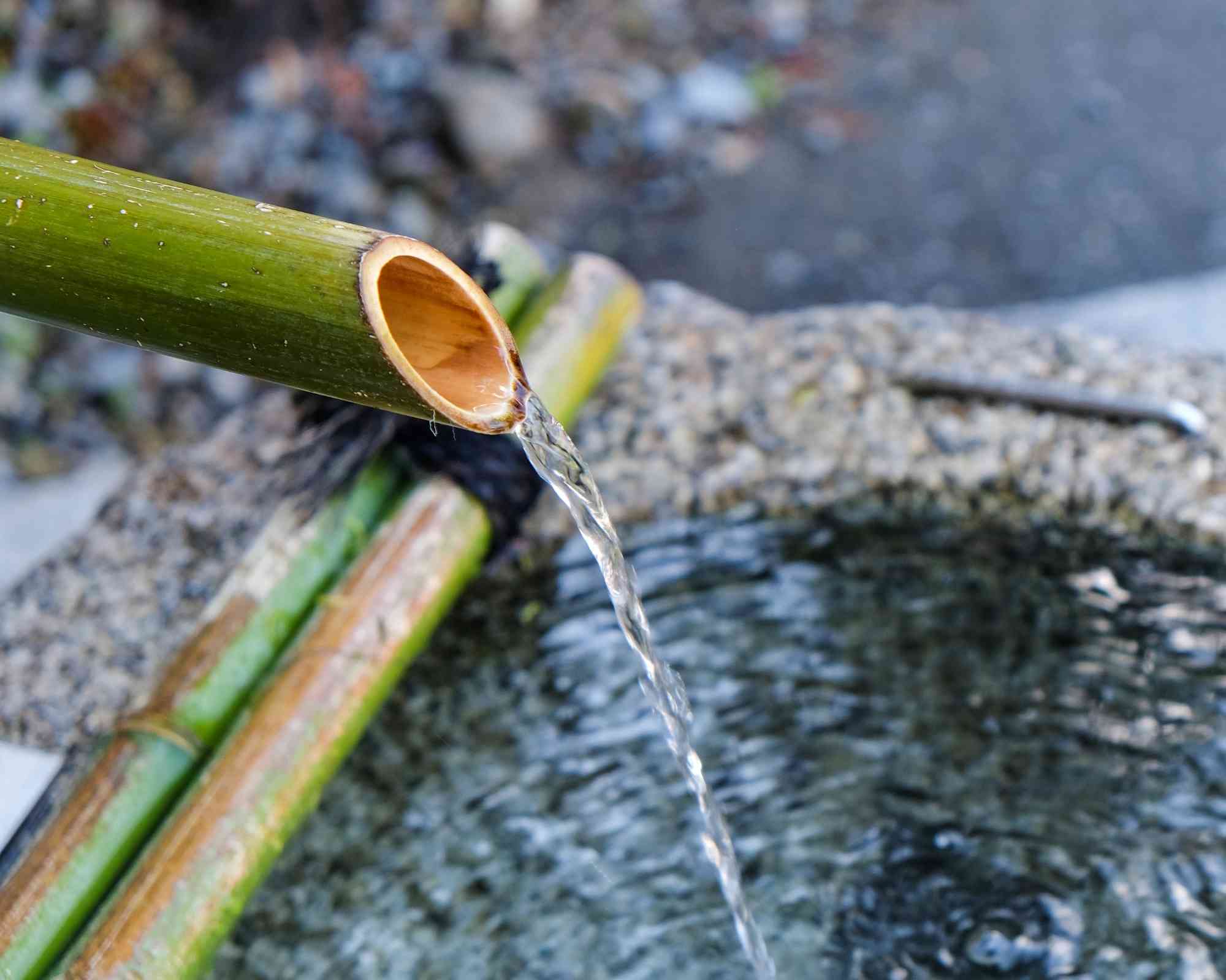 Le jeu d'eau en bambou : un classique du jardin japonais ! 