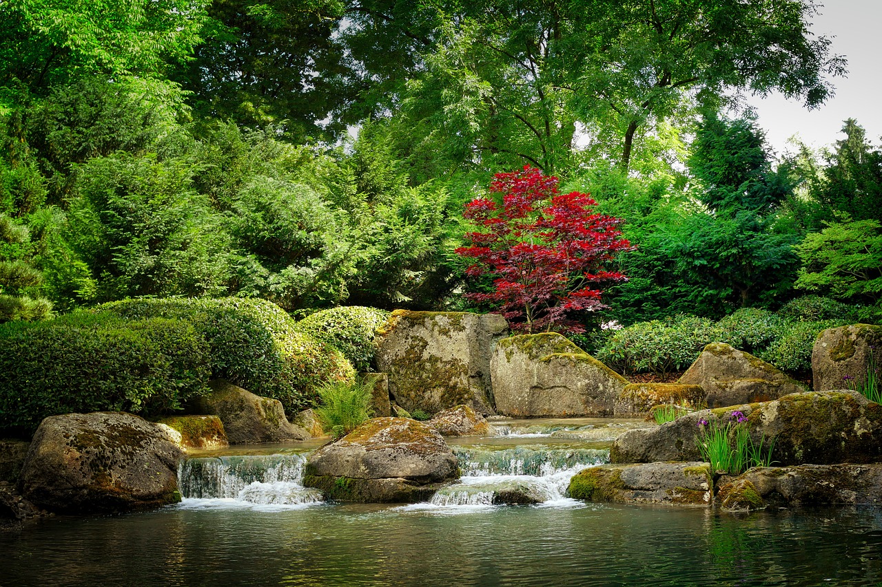 Un jardin japonais