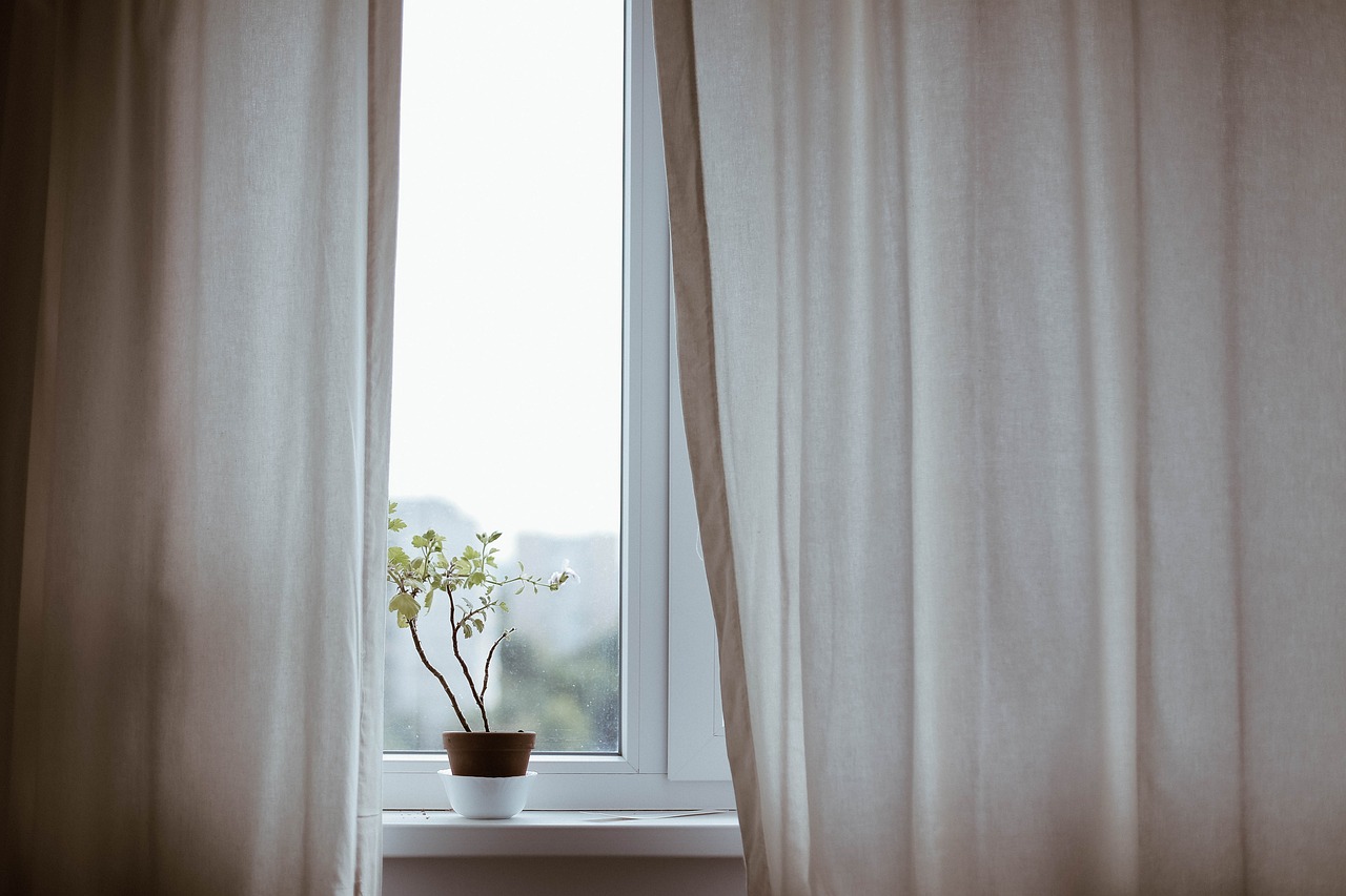 Une plante décorative