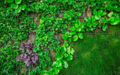 Entre tradition et innovation : intégrer des feuillages artificiels dans votre jardin