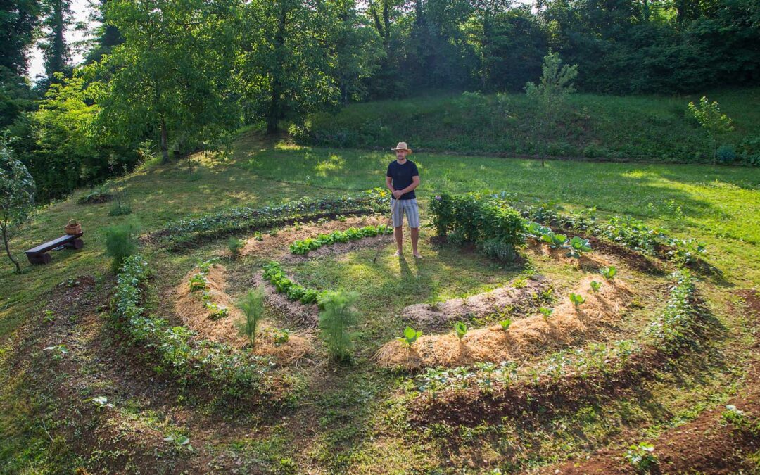 Permaculture pour débutants.