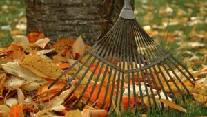 jardin en automne