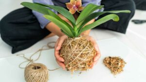 DIY jardin