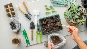 DIY jardin