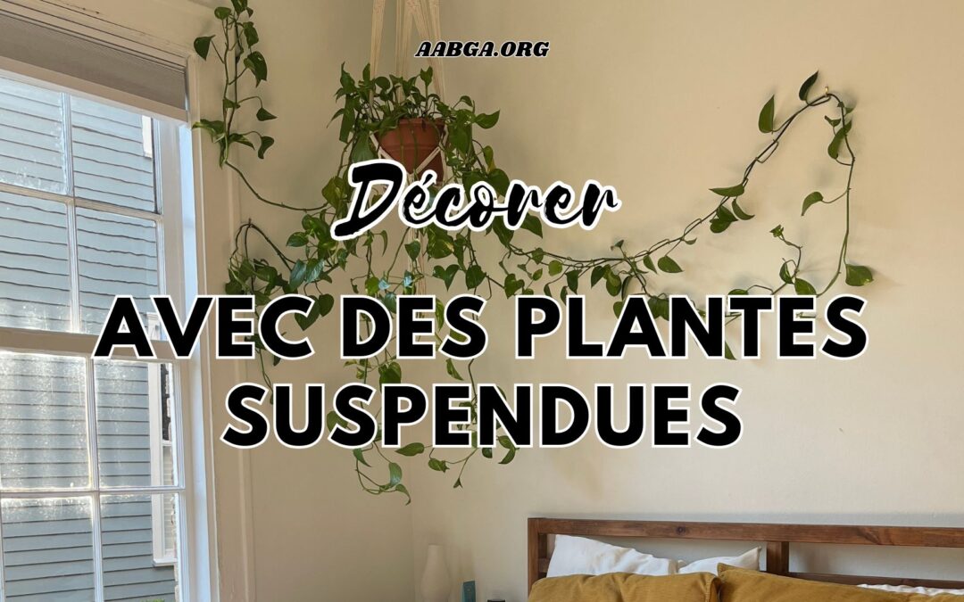 Décorer son salon avec des plantes suspendues : idées et inspirations