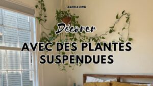plantes suspendues