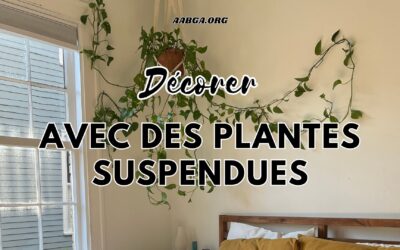 Décorer son salon avec des plantes suspendues : idées et inspirations