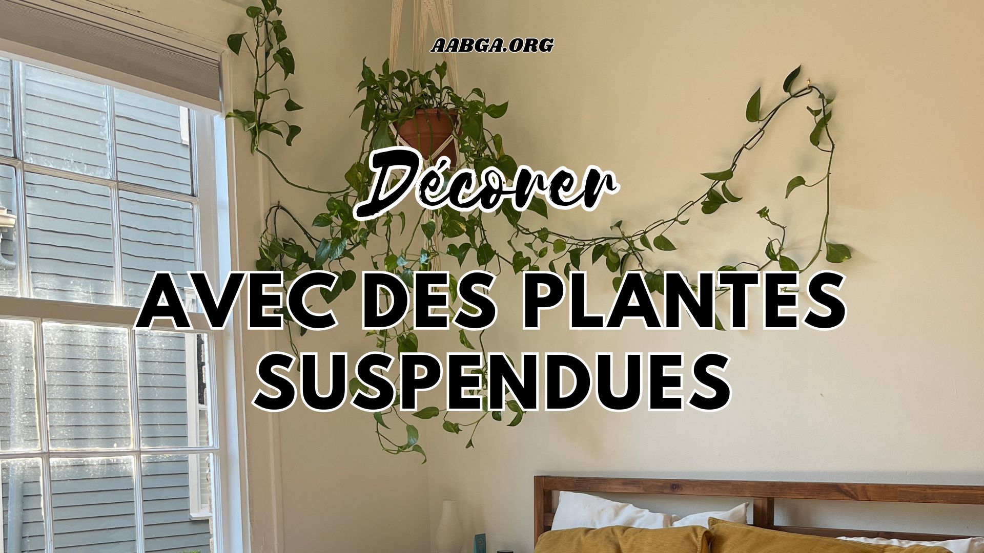 plantes suspendues