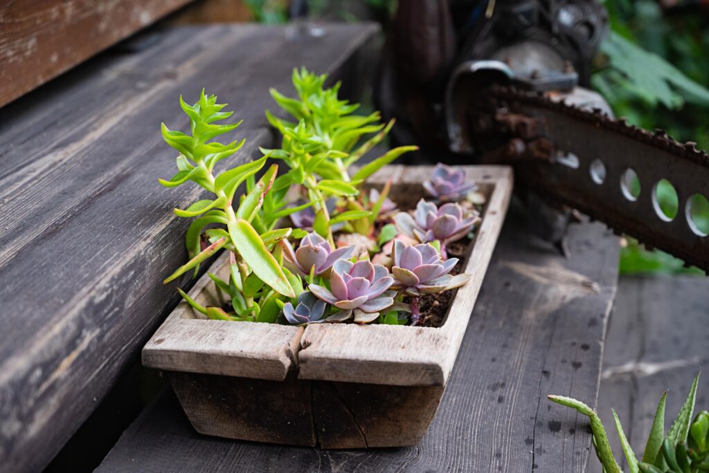 potted bowl of fake artificial succulent plants as simple home decor on a wood tray in a short term